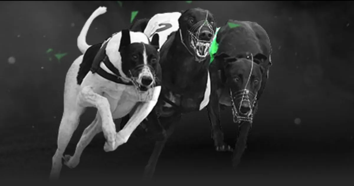 速递体坛,资讯速览,小时热闻,国民彩票,彩票平台,安全购彩,在线投注,彩票开奖