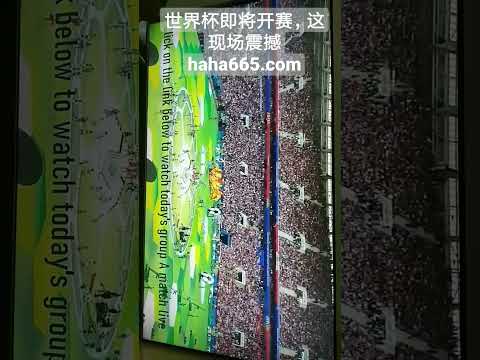 西汉姆,负于切尔西,芒特力不从,国民彩票,彩票平台,安全购彩,在线投注,彩票开奖