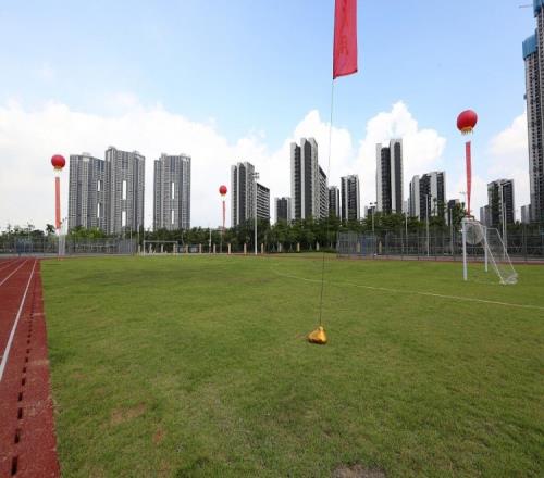 世界杯小组,赛积分并列,晋级机制揭,国民彩票,彩票平台,安全购彩,在线投注,彩票开奖