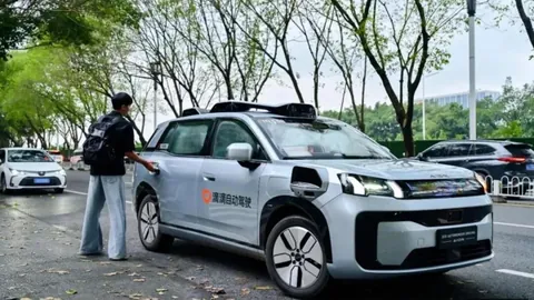 英雄联盟11新赛季，战队新征程